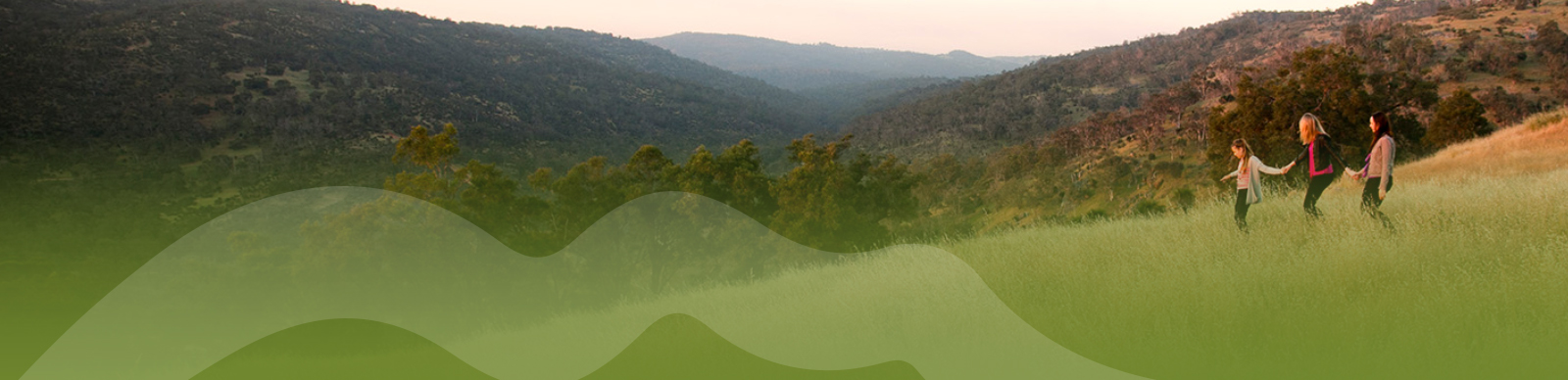 About Avon Ridge Estate