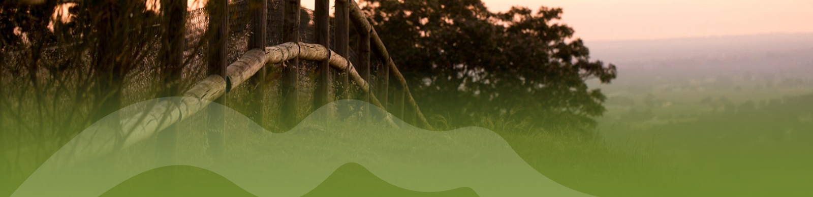 Purchaser and Builder Information